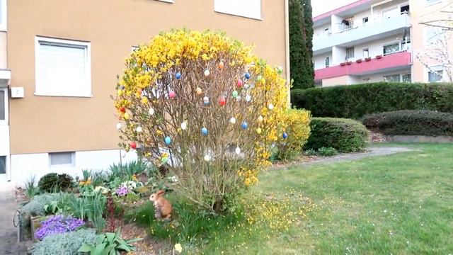 Пасха.Красивые деревья. смотреть онлайн