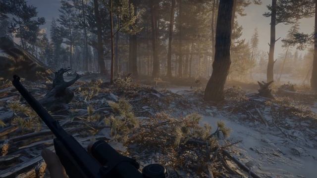 theHunter: Call of the Wild ™ | 2019 Edition Trailer смотреть онлайн