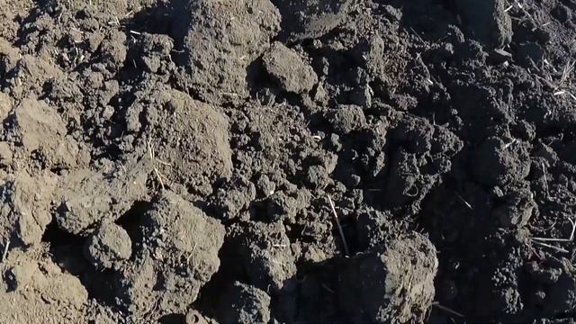 Монетки и металл в поле . Коп с квазар арм. смотреть онлайн