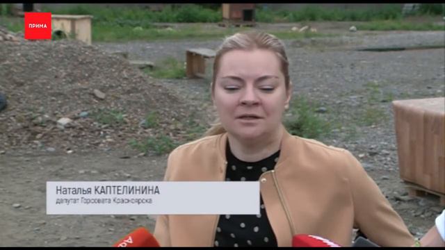 Бродячих собак будут помещать в приют навсегда смотреть онлайн