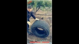 Самый бюджетный вариант сливной ямы из покрышек, шин или скатов своими руками