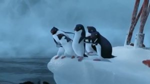 Happy Feet - Killer Whales