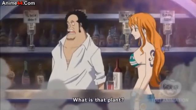 Nami Meets Usopp 2 Years Laters [1080p] Eng Sub