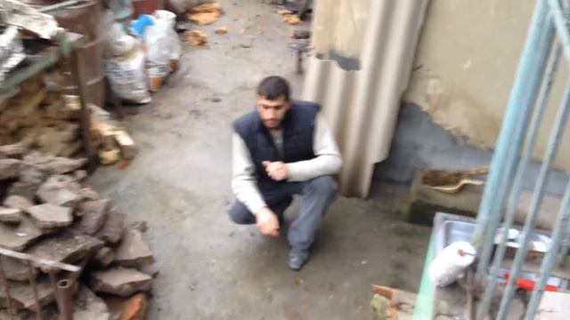 дратххар смотреть онлайн
