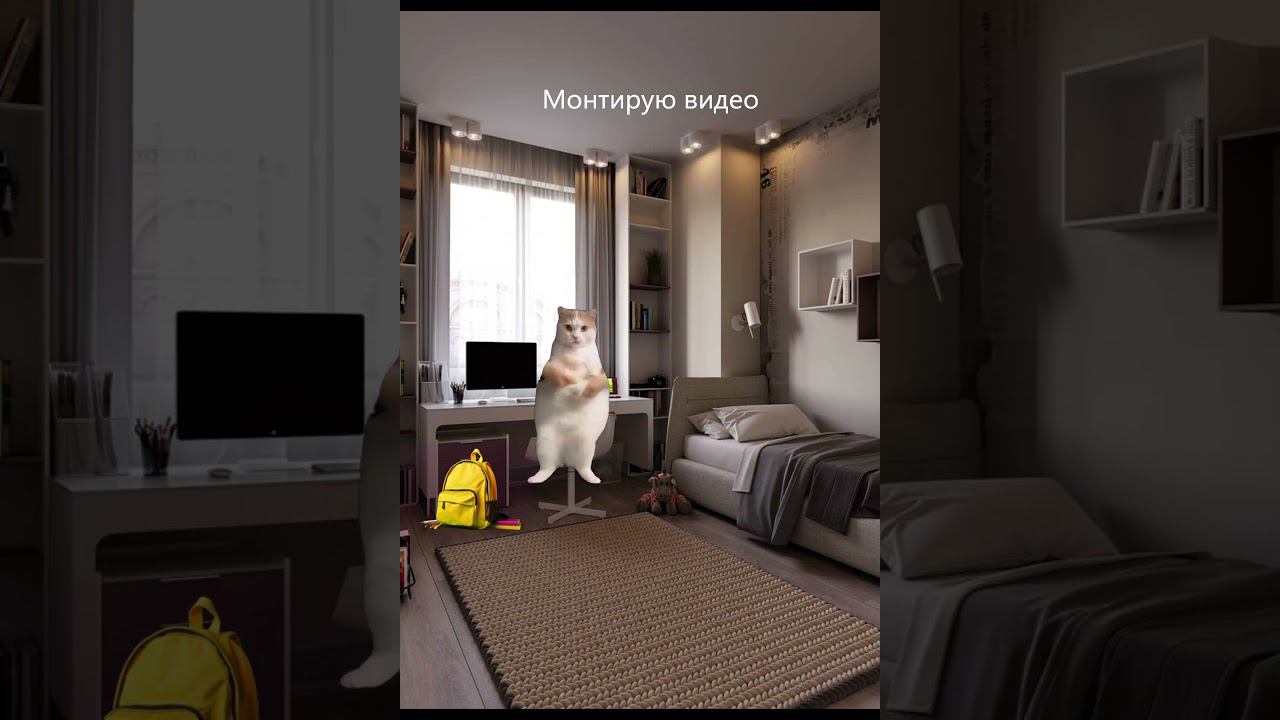 Рил: Мой день 3 часть #shorts #catshorts смотреть онлайн
