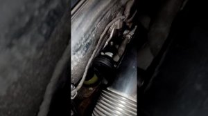 опель астра н  z16xep, клапан вентиляции картера