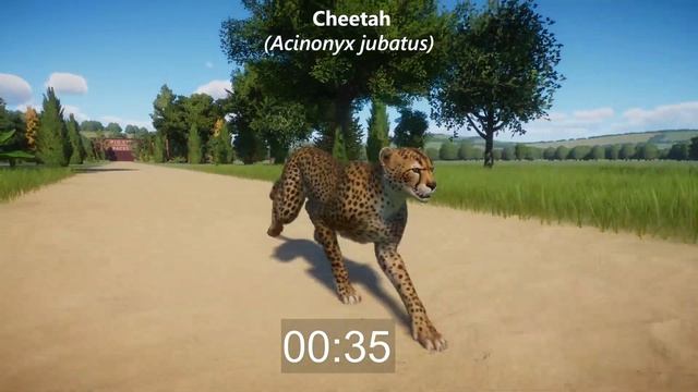 Most Reliable Runner Animal in Big Cats Category at 400 meter | Big Cats Race Battle in Planet Zoo смотреть онлайн