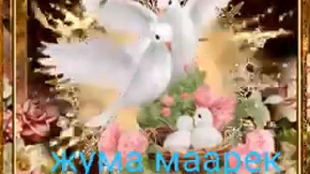 31 июля 2020 г. смотреть онлайн