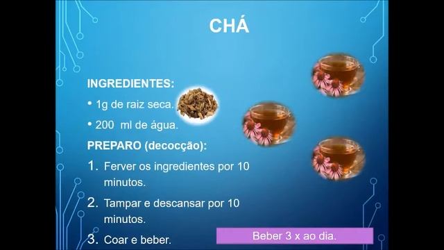 Equinácea (Echinacea angustifolia, Compositae) смотреть онлайн