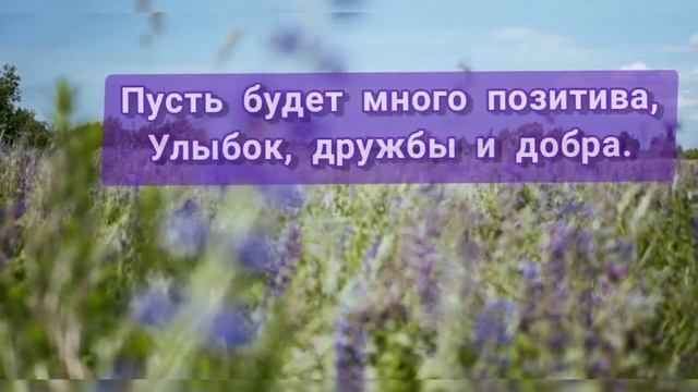 Красивое пожелание хорошего дня. смотреть онлайн