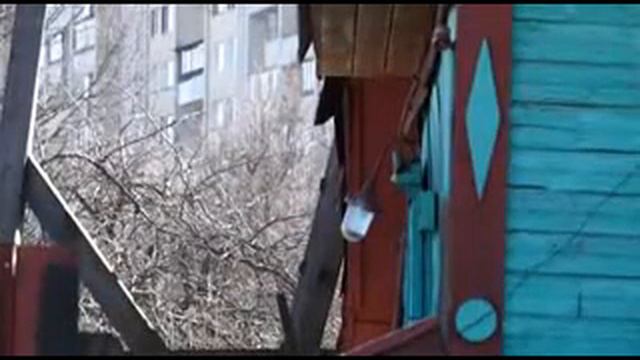 31.03."Сегодня в Бобруйске" Разбой расследование Бобруйск смотреть онлайн