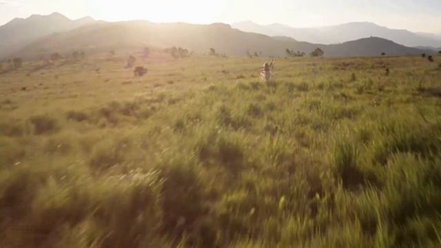 Nebezao - Разлюбили по утру