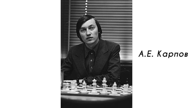 Международный день шахмат смотреть онлайн