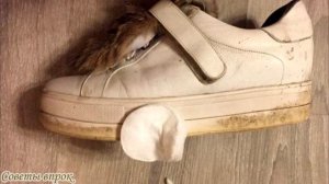 ➤ Как почистить белую обувь, чтобы она выглядела как новая ➤ КАК ОТМЫТЬ КРОССОВКИ