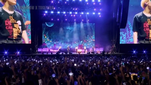 TXT 2023 Lollapalooza (Farewell Neverland / Blue Spring)