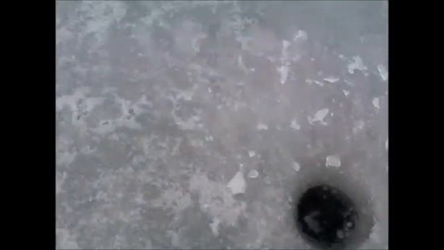 Финский залив. Ловля судака. Рыбалка 10.03.2015 смотреть онлайн