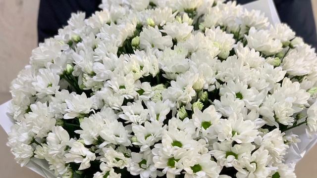 Букет из белых ромашковых хризантем — купить в интернет-магазине по низкой цене на rostov-buket.ru смотреть онлайн