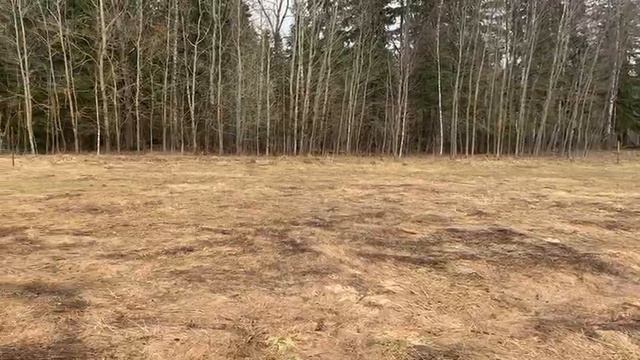 Видео 193555 смотреть онлайн