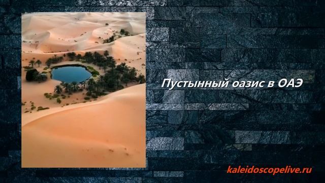 Пустынный оазис в ОАЭ смотреть онлайн