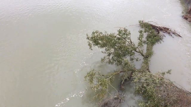 Увеличение объёма реки Быстрицы-Солотвинской смотреть онлайн