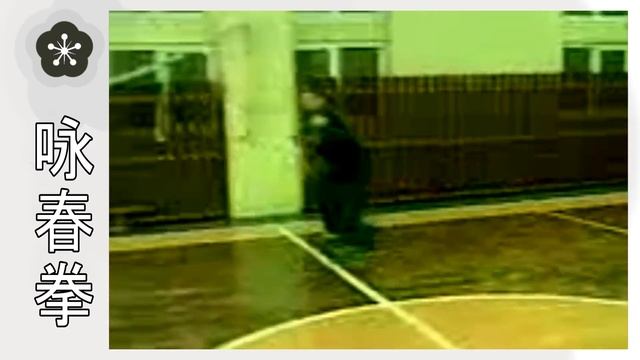 Тренировки по Вин Чун в Киеве ☯ Wing Chun training in Kiev. смотреть онлайн