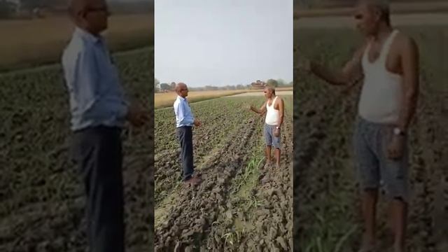 Organic Farming Of Sugarcane Good Result To Use Green Planet bio Product Good Result Of Sugarcane смотреть онлайн