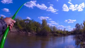 Рыбалка на голавля на течении на поплавок.