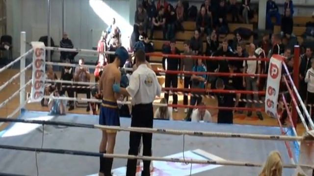K-1 Baltcup 2010 Evgeniy Alekseyev knockout смотреть онлайн