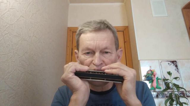 A Whiter Shade Of Pale - Natur Music Plant - Chromatic Harmonica By M. Hohner смотреть онлайн