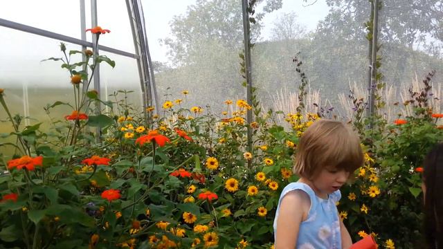 2015-08-27 Зоопарк-02 Метелики смотреть онлайн