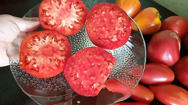 Дегустация томатов. Часть10 смотреть онлайн