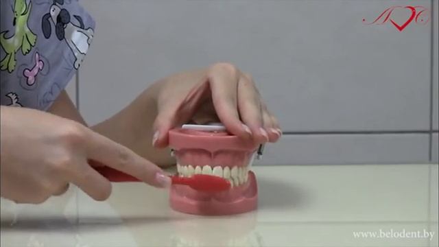 Как чистить зубы ребенку 3-6 лет смотреть онлайн