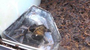 САМЫЙ  БОЛЬШОЙ ЗООМАГАЗИН В МИРЕ !!!