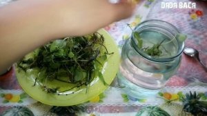 Обеззараживание аквариумных растений! Растения для начинающих!