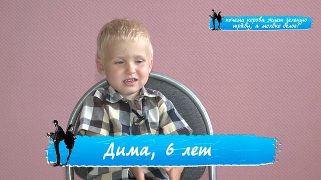 «Правила жизни. Дети»: почему корова жуёт зеленую траву, а молоко белое? смотреть онлайн