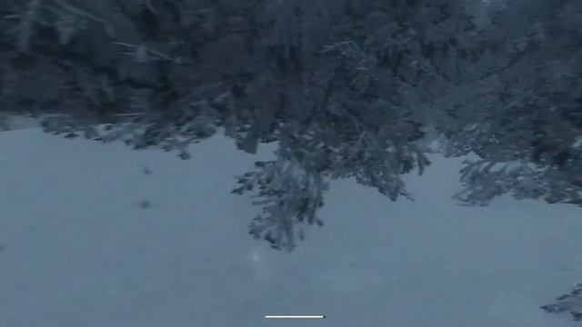 ShadowSide Прохождение на русском #5 Блохастик и пещеры (Без комментариев) смотреть онлайн