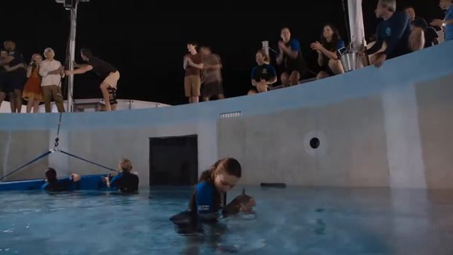 "Трейлер 2 (дублированный, русский) История дельфина 2 (2014)" смотреть онлайн