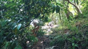 МАХНУЛА В СОЧИ В ПОХОД. ПЕРВЫЕ ВПЕЧАТЛЕНИЯ. ПРАВДА О МЕСТНЫХ. НЕПОХОДНИЦА.