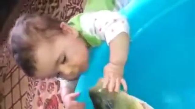 Маленький ребенок играется с рыбкой смотреть онлайн