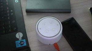 Можно ли общаться с Алисой на английском языке ?