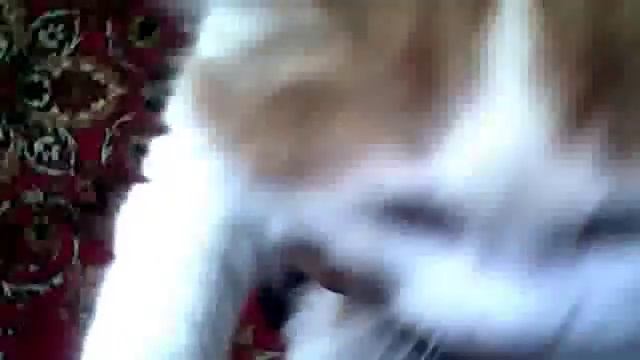 кошкак тагира тагирова смотреть онлайн