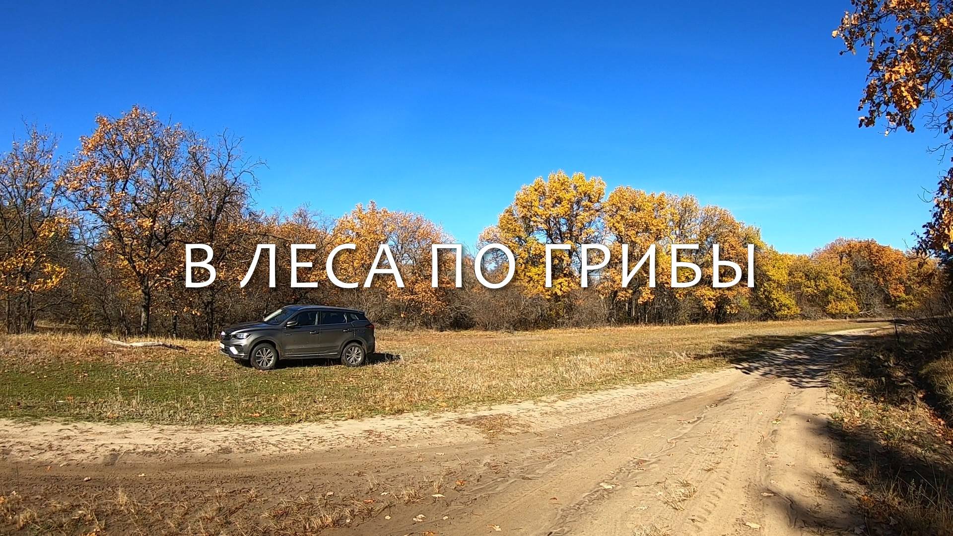 В леса, по грибы смотреть онлайн