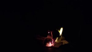 Печь в баню ЕРМАК // как выбирал и ставил