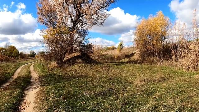 Отпускайте из жизни тех, кто вроде бы рядом, но и не с вами.
