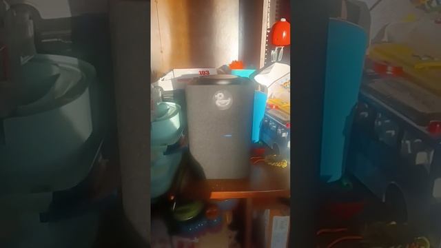 Алиса в стране Яндекс станция макс музыка играет Лайк смотреть онлайн