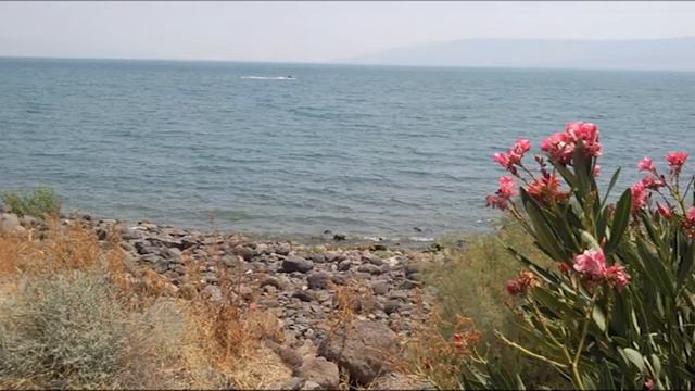 099 ВОСКРЕСНОЕ СЛОВО 21 08 16 смотреть онлайн