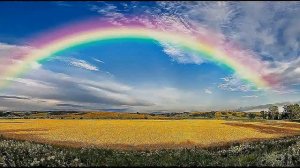 Вилли  Токарев  -- "Радуга"