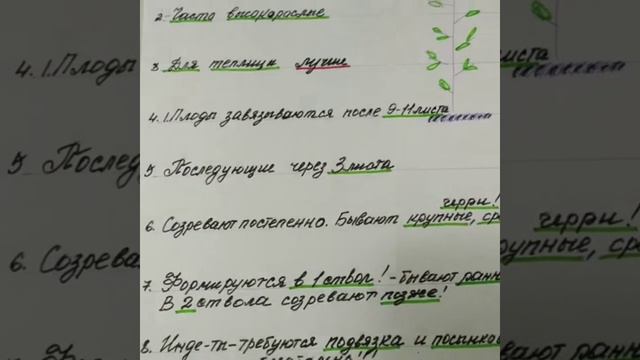 Индетерминантные томаты, формирование. смотреть онлайн