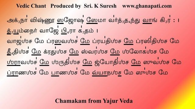 சமகம் | Chamakam | Tamil Script | POWERFUL Vedic Chant | Sri K Suresh смотреть онлайн