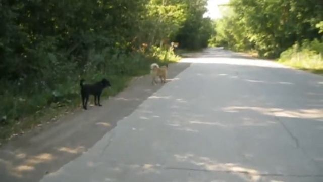 Все на защиту своей земли! смотреть онлайн